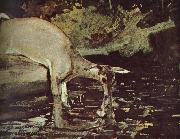 Winslow Homer Deer drink oil